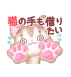 もこもこなこねこ【挨拶】大きな文字（個別スタンプ：16）