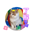 ねこまーち NKM22 わたぐも王子（個別スタンプ：3）