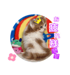 ねこまーち NKM22 わたぐも王子（個別スタンプ：4）