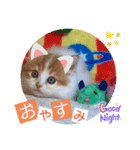 ねこまーち NKM22 わたぐも王子（個別スタンプ：7）