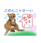ルド＆ミティ❤️（個別スタンプ：1）