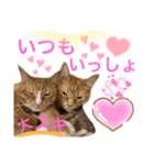 ルド＆ミティ❤️（個別スタンプ：2）