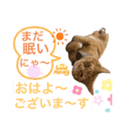 ルド＆ミティ❤️（個別スタンプ：4）