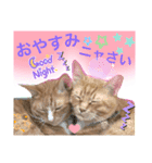 ルド＆ミティ❤️（個別スタンプ：6）