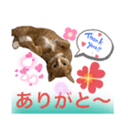 ルド＆ミティ❤️（個別スタンプ：7）