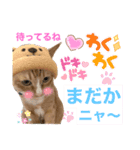 ルド＆ミティ❤️（個別スタンプ：8）