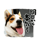 L28ov96e（個別スタンプ：8）