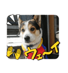 L28ov96e（個別スタンプ：15）