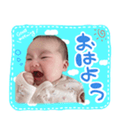 ひまわりこ（個別スタンプ：1）
