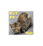 ガンバレ源さん！！（個別スタンプ：5）