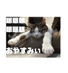 ガンバレ源さん！！（個別スタンプ：7）