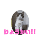 ガンバレ源さん！！（個別スタンプ：12）