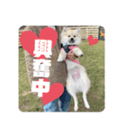 なるとのスタンプ 第三弾！！！（個別スタンプ：4）