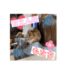 なるとのスタンプ 第三弾！！！（個別スタンプ：5）