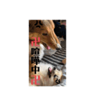 なるとのスタンプ 第三弾！！！（個別スタンプ：6）