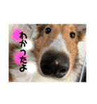なるとのスタンプ 第三弾！！！（個別スタンプ：8）