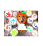 なるとのスタンプ 第三弾！！！（個別スタンプ：16）