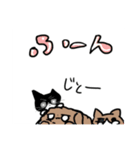 まゆんスタンプゆるふわ犬猫 40個（個別スタンプ：14）