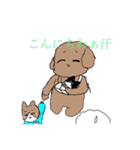 まゆんスタンプゆるふわ犬猫 40個（個別スタンプ：20）