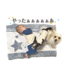 鈴木家のBOY'S ②（個別スタンプ：3）