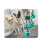 鈴木家のBOY'S ②（個別スタンプ：19）