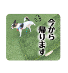 鈴木家のBOY'S ②（個別スタンプ：22）