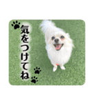 鈴木家のBOY'S ②（個別スタンプ：23）