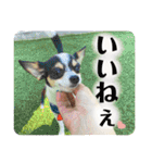 鈴木家のBOY'S ②（個別スタンプ：24）