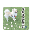 鈴木家のBOY'S ②（個別スタンプ：25）