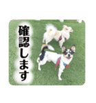 鈴木家のBOY'S ②（個別スタンプ：26）