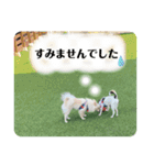 鈴木家のBOY'S ②（個別スタンプ：28）