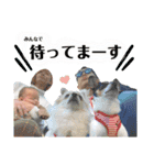 鈴木家のBOY'S ②（個別スタンプ：31）