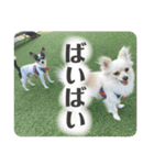 鈴木家のBOY'S ②（個別スタンプ：32）