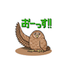 タマゴフクロウ たまふく（個別スタンプ：5）