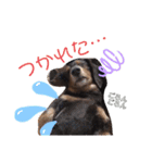 タロakaぐっち（個別スタンプ：3）