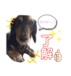 タロakaぐっち（個別スタンプ：4）