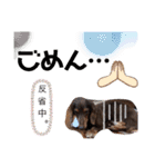タロakaぐっち（個別スタンプ：7）