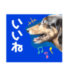 タロakaぐっち（個別スタンプ：9）