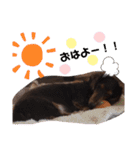 タロakaぐっち（個別スタンプ：18）