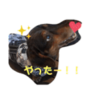 タロakaぐっち（個別スタンプ：22）