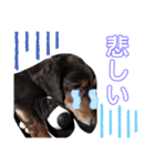 タロakaぐっち（個別スタンプ：24）