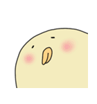 トリのようないきもの（個別スタンプ：5）
