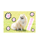 なるとのスタンプ第4弾！！！（個別スタンプ：2）