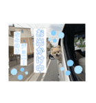 なるとのスタンプ第4弾！！！（個別スタンプ：3）