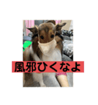 なるとのスタンプ第4弾！！！（個別スタンプ：8）