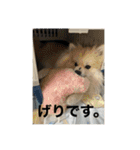 なるとのスタンプ第4弾！！！（個別スタンプ：12）