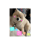 なるとのスタンプ第4弾！！！（個別スタンプ：15）