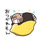 レッサーパンダくん4（個別スタンプ：16）