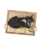 ダックスの挨拶スタンプ（個別スタンプ：40）