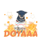 名犬サクちゃん8（個別スタンプ：21）